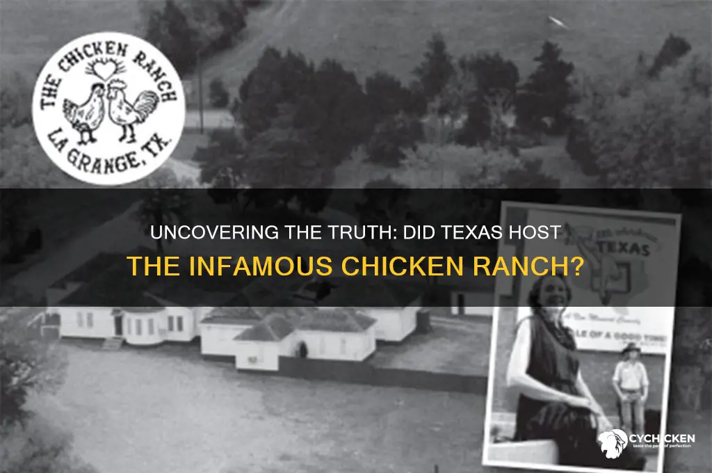 was there a chicken ranch in texas