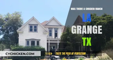 Uncovering the Truth: Chicken Ranch in La Grange, Texas