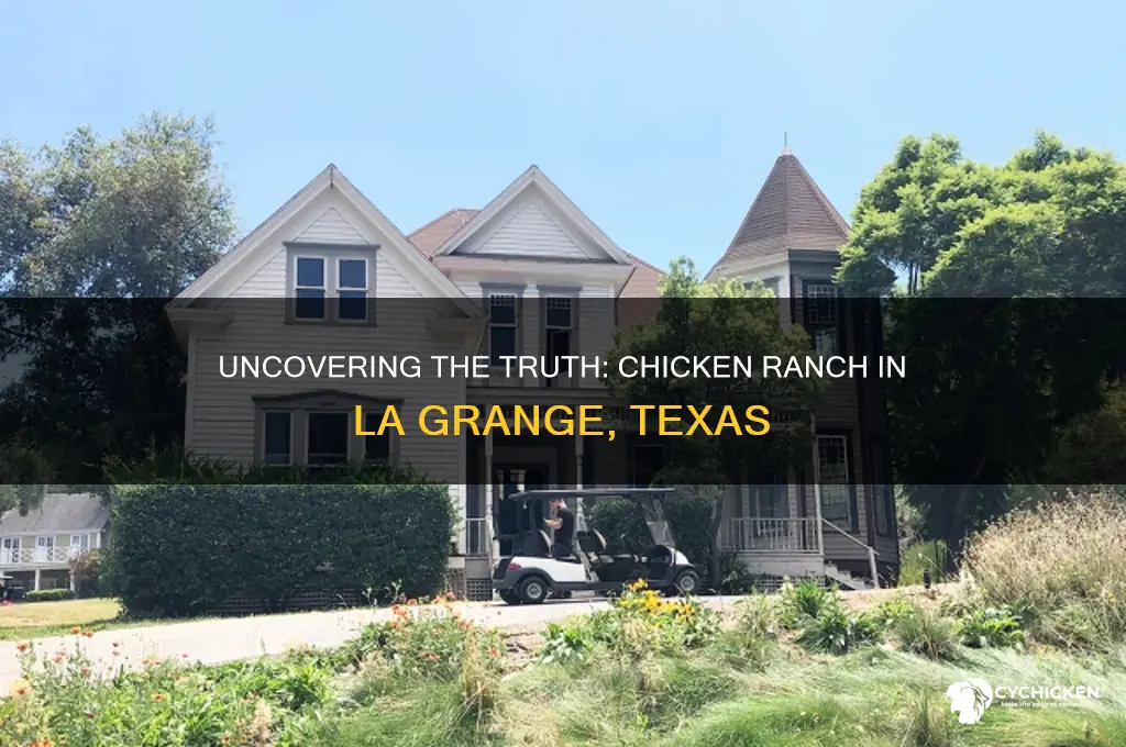 was there a chicken ranch la grange tx
