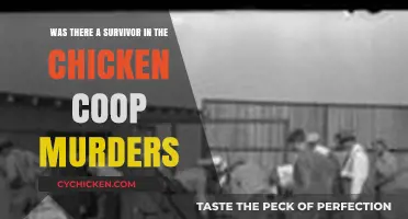 The blog title for the topic 'was there a survivor in the chicken coop murders' could be: