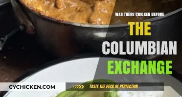 Chicken Origins: Pre-Columbian Exchange History Uncovered
