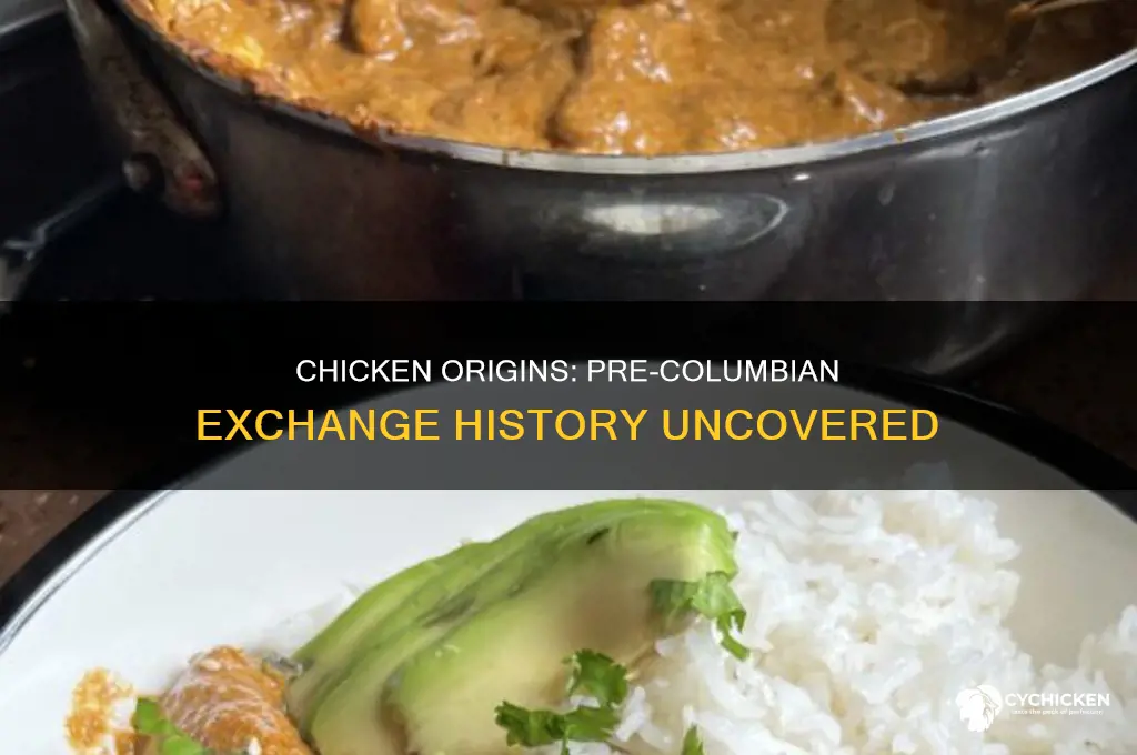 was there chicken before the columbian exchange