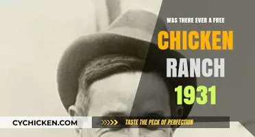 The Myth of the Free Chicken Ranch in 1931: Unraveling History