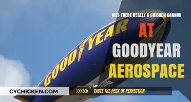 The Chicken Cannon: Goodyear Aerospace's Oddity