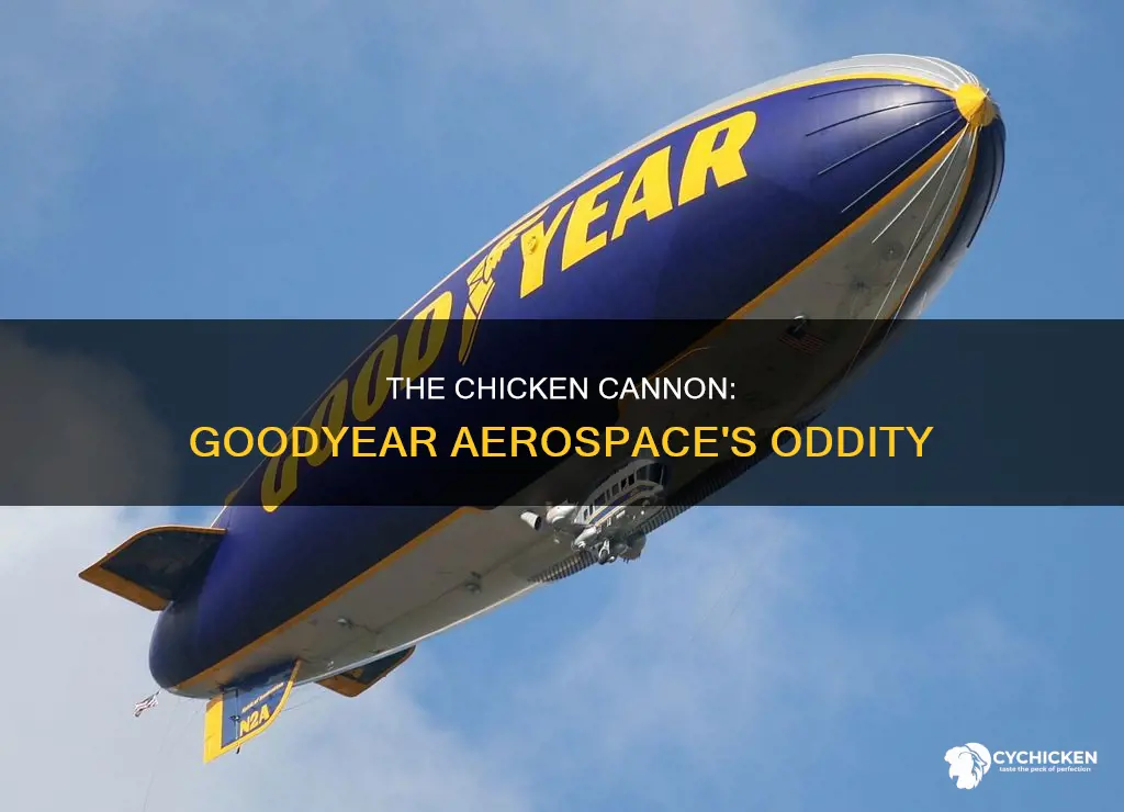 was there really a chicken cannon at goodyear aerospace