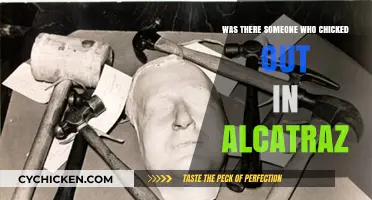 Did Any Inmates Successfully Escape Alcatraz and Evade Capture?