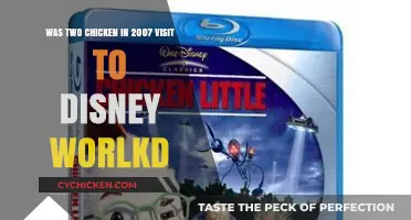 Disney World: Chicken's Magical Adventure in 2007