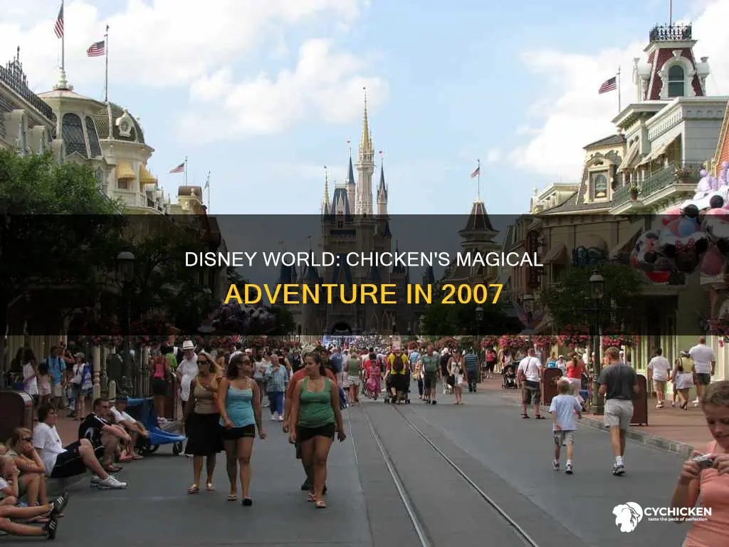 was two chicken in 2007 visit to disney worlkd