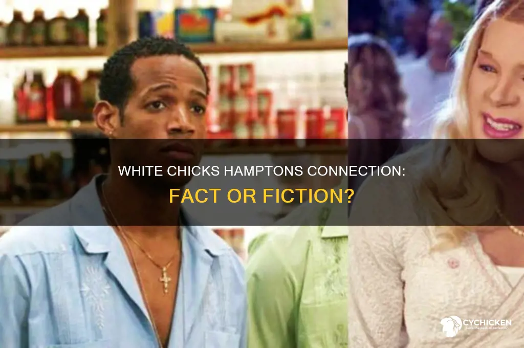 was white chicks filmed in the hamptons