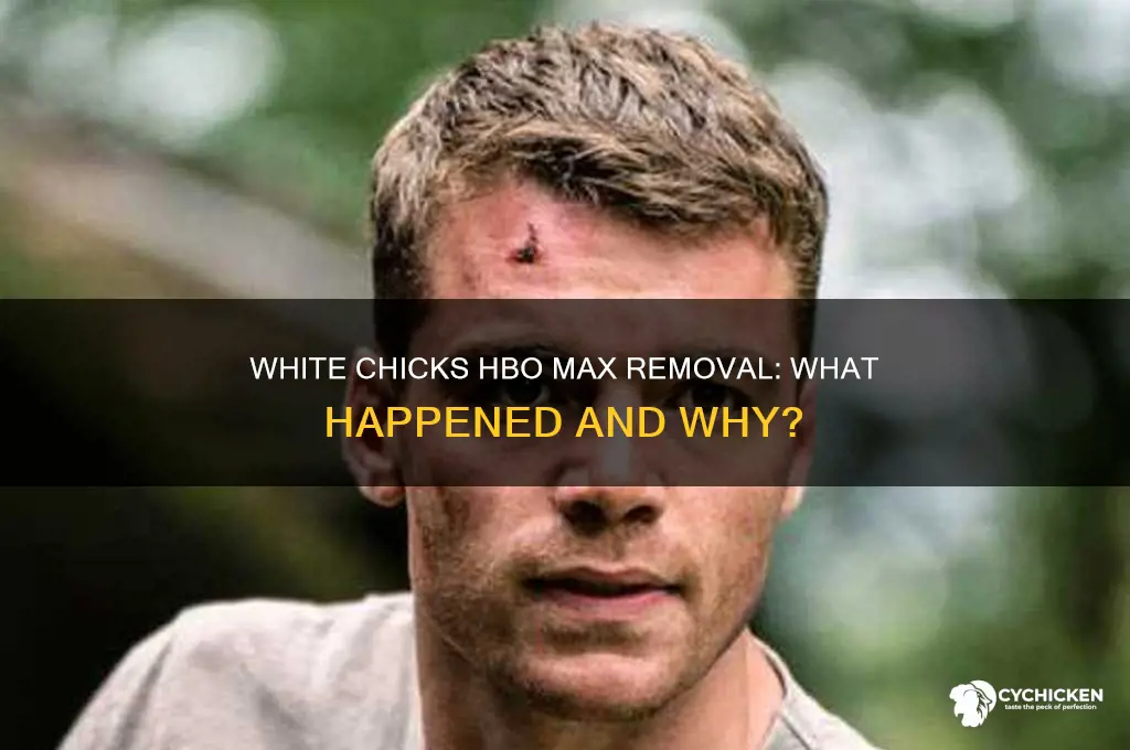 was white chicks removed from hbo max