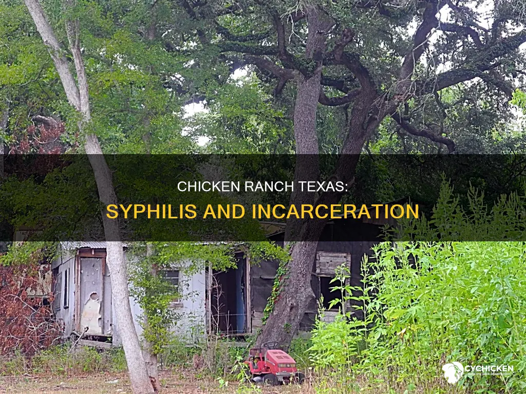 were any chicken ranch texas women locked up for syphillis