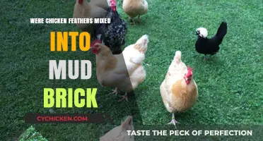 Unraveling the Myth: Chicken Feathers in Mud Bricks - Fact or Fiction?