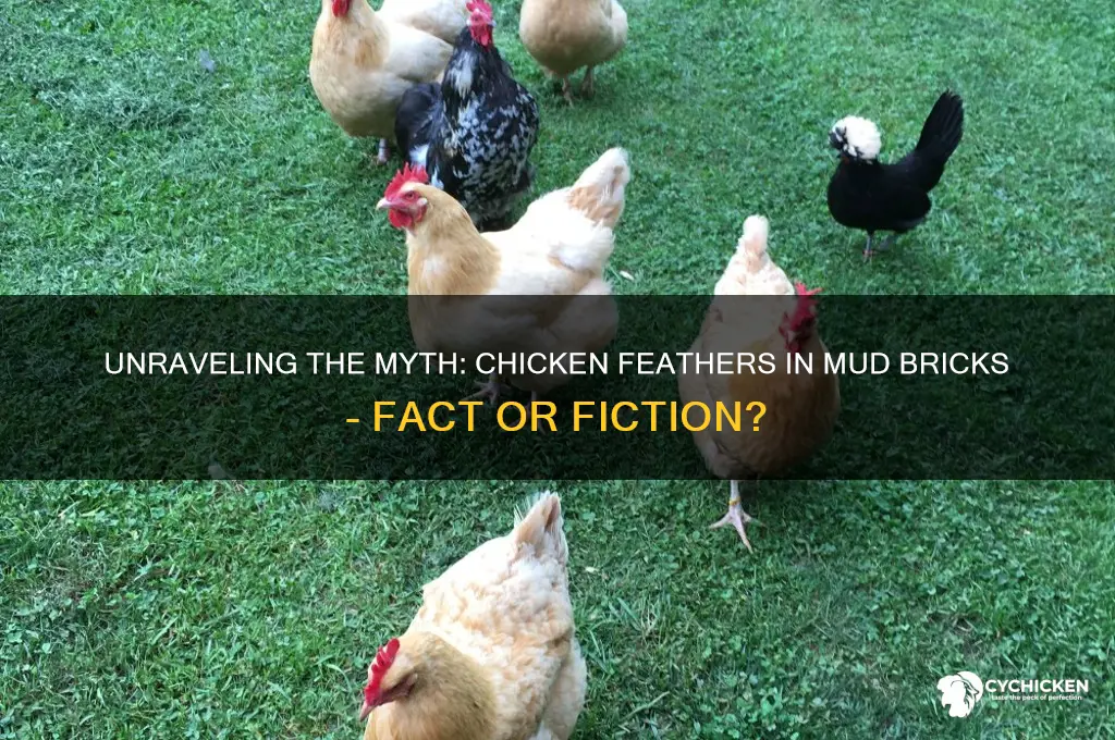 were chicken feathers mixed into mud brick