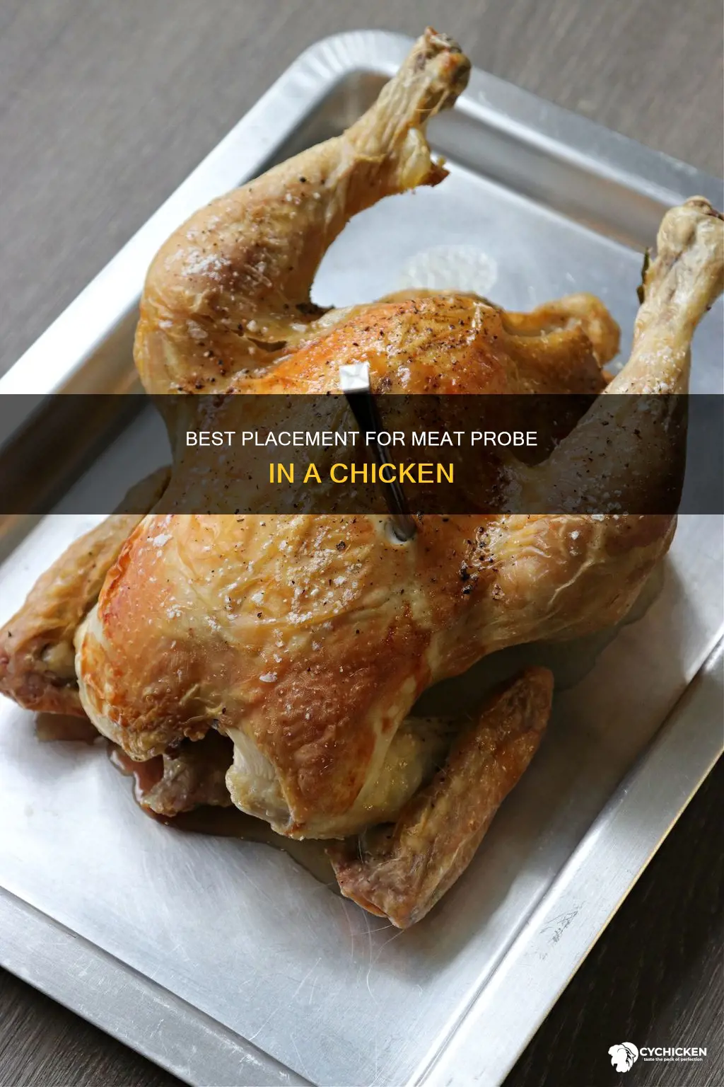 were do i place a meat probe in a chicken