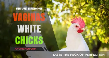 Vaginal Braiding Trends: Unraveling the 'White Chicks' Cultural Phenomenon