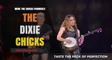 From Dixie to Chicks: The Evolution of a Country Trio