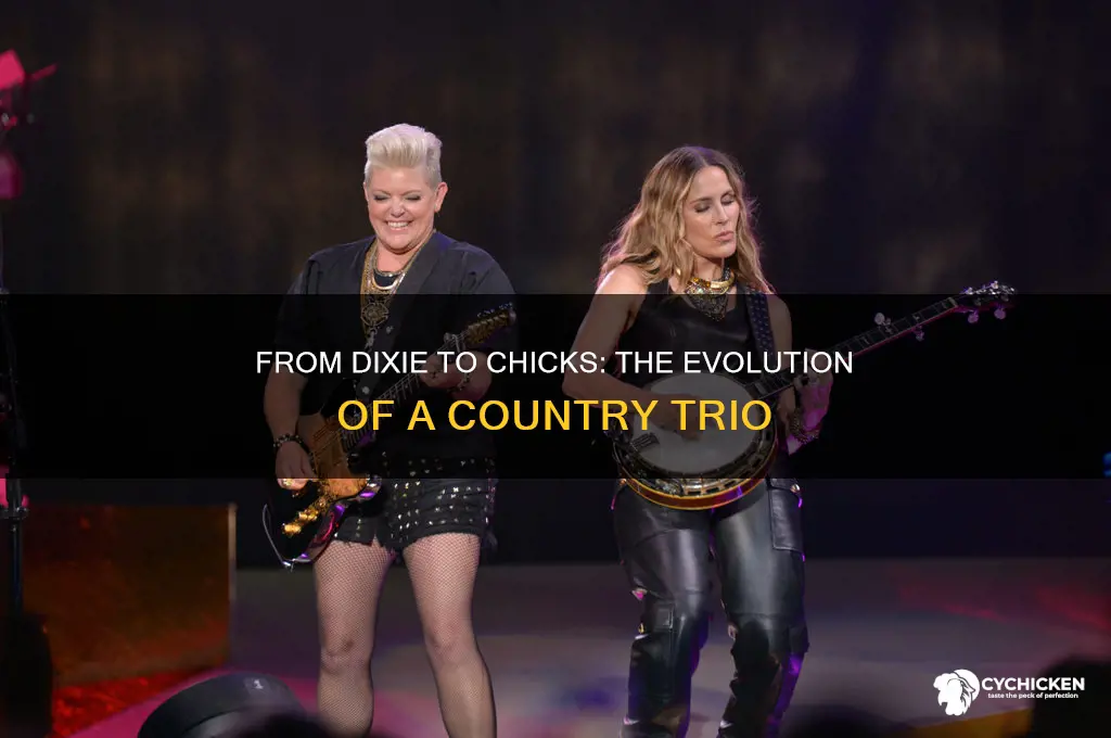 were the chicks formerly the dixie chicks