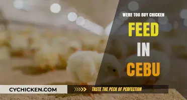 Where to Buy Quality Chicken Feed in Cebu: A Comprehensive Guide