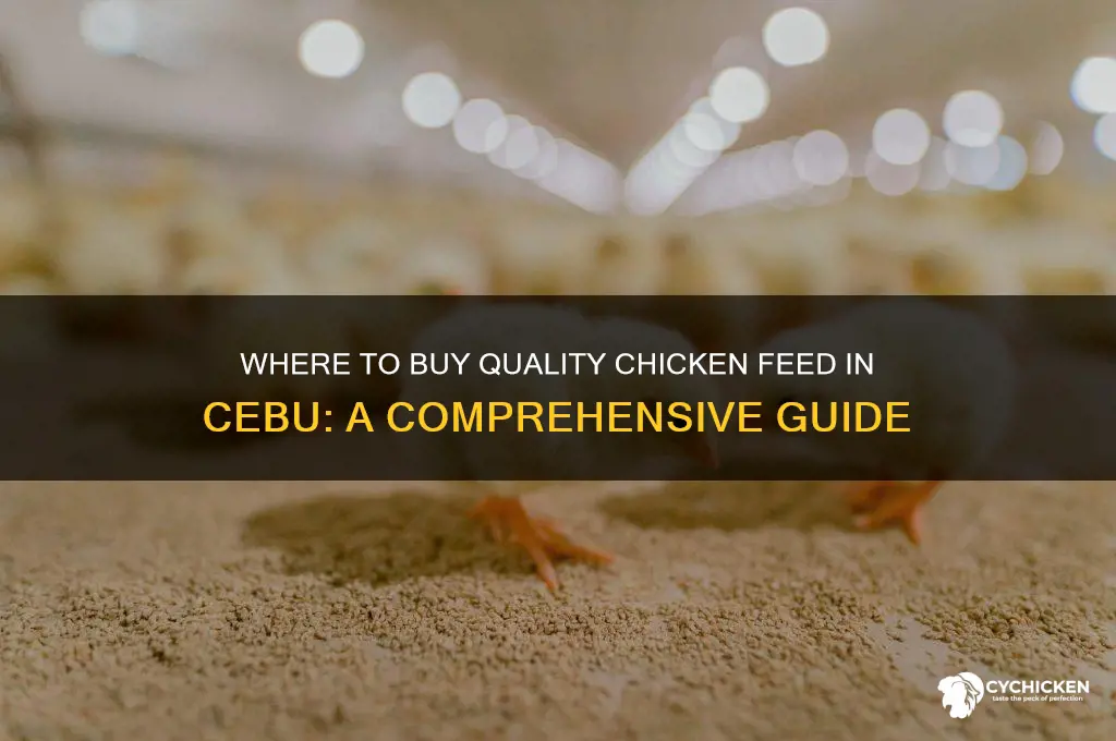 were too buy chicken feed in cebu
