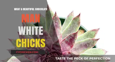 Chocolate Charm: Exploring the Allure in 'White Chicks' Cinema