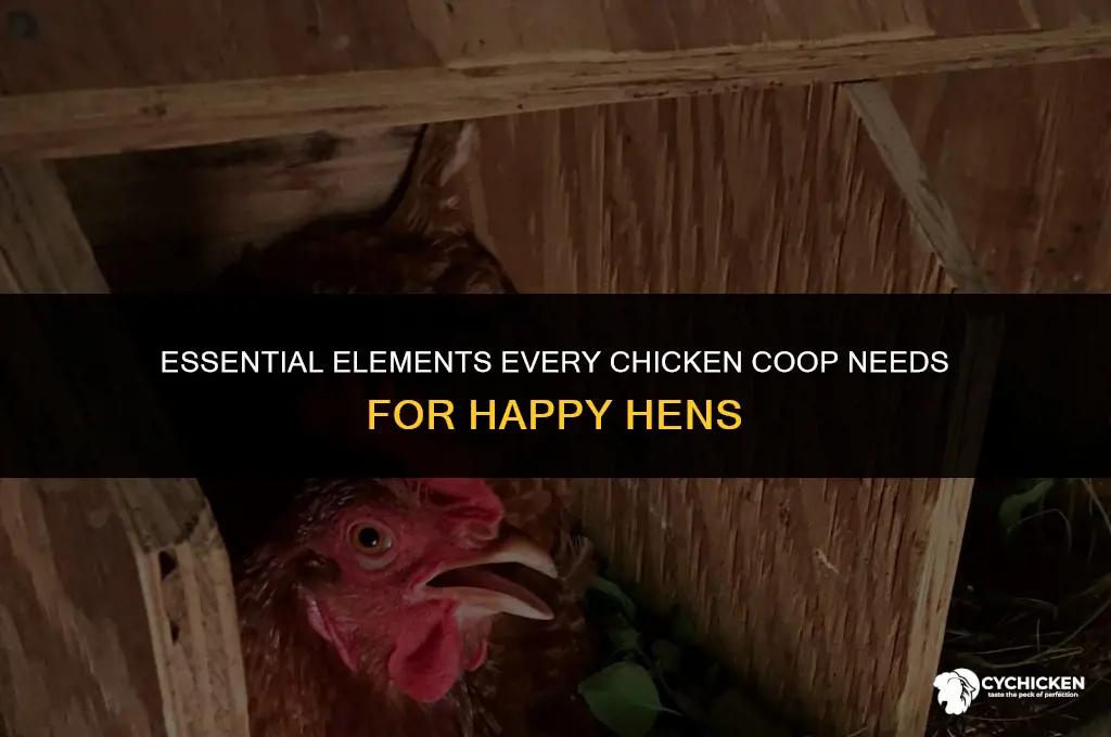what a chicken coop needs