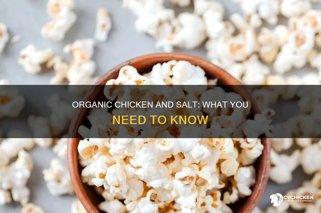 what about organic chicken is there any salt