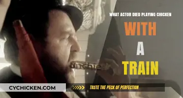Tragic Train Stunt: Actor's Fatal Game of Chicken on Set