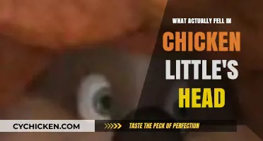 The Sky's Secret: Unraveling Chicken Little's Head Mystery