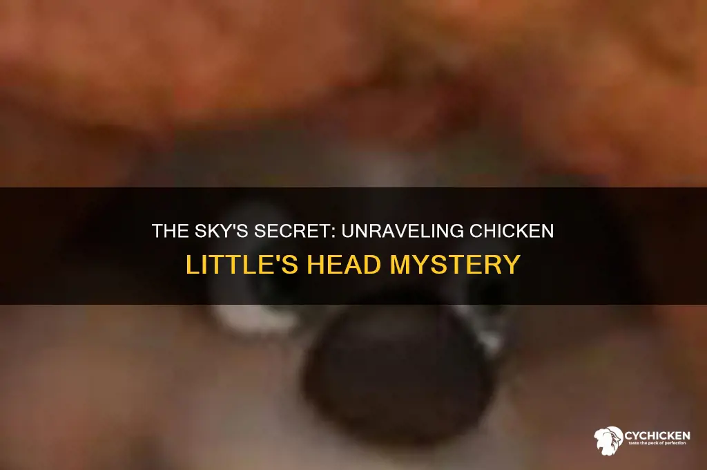 what actually fell in chicken little