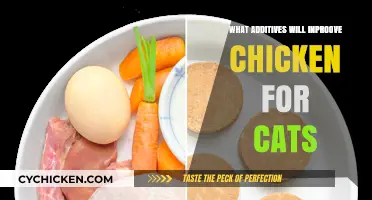 Enhance Your Cat's Chicken Diet: Top Additives for Optimal Health