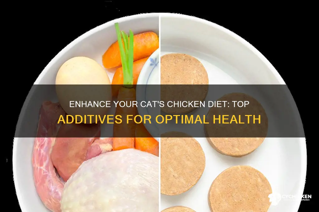 what additives will inproove chicken for cats