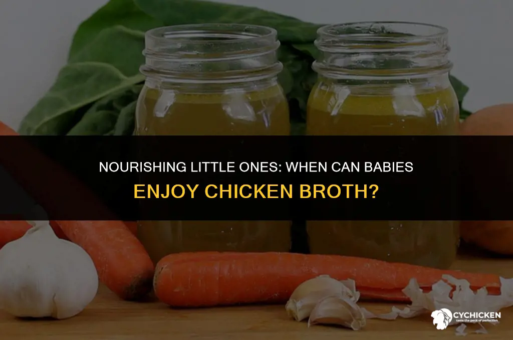 what age can babies have chicken broth
