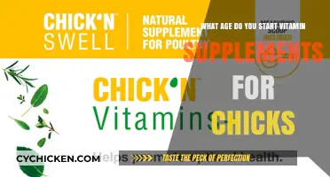 Vitamin Supplements: When Do Chicks Need Them?