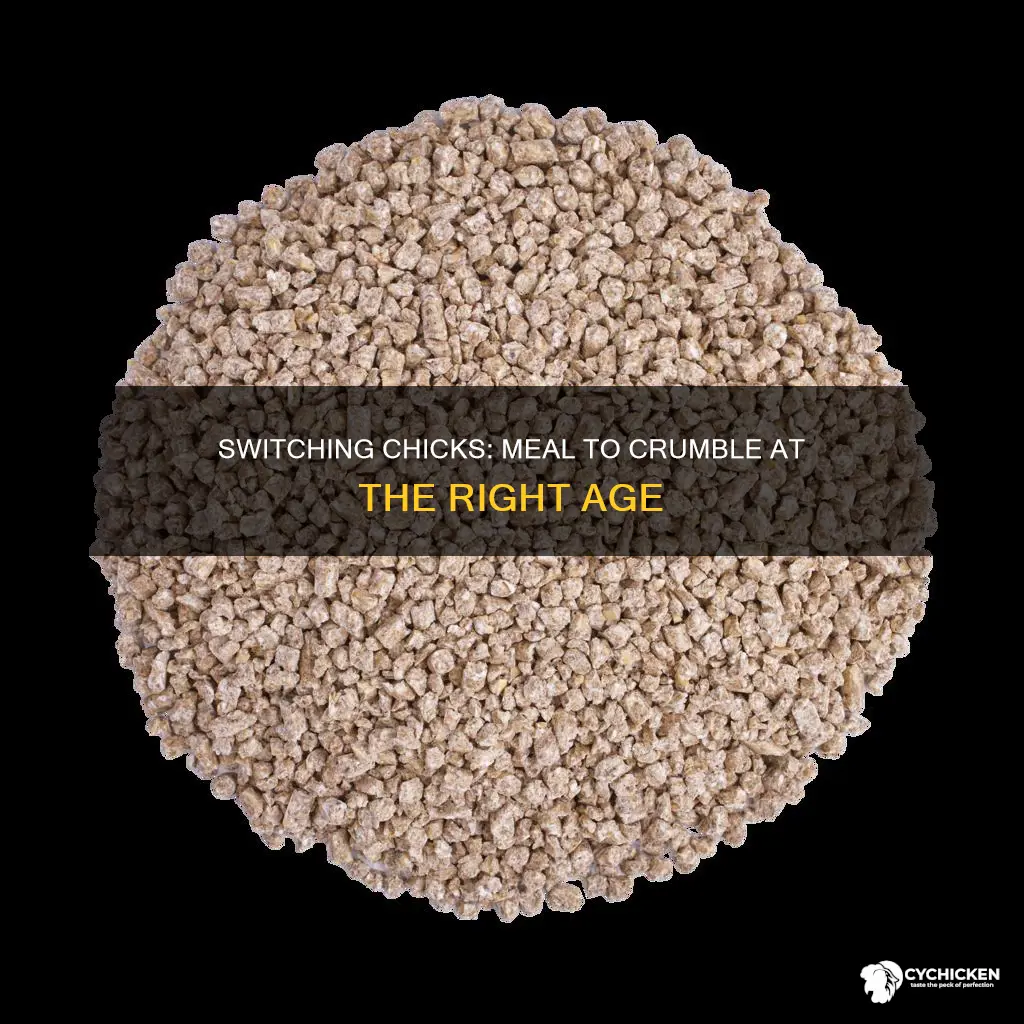 what age do you switch chicks from meal to crumble