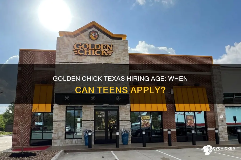 what age does golden chick hire in texas