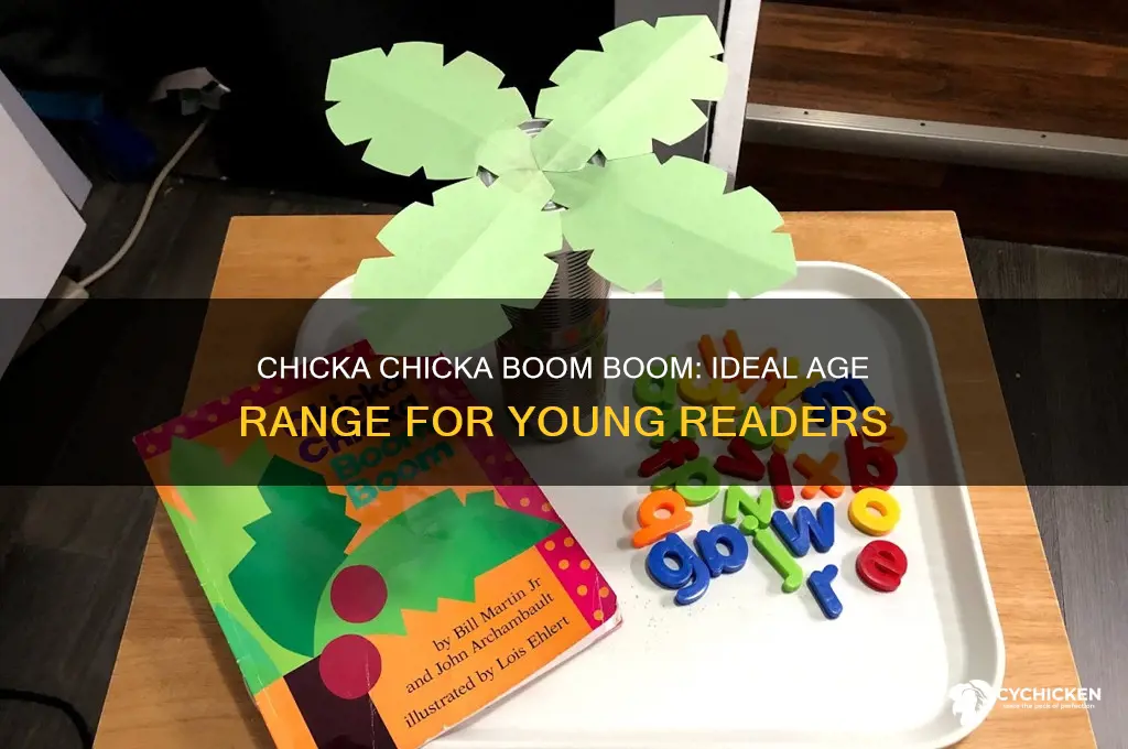 what age is chicka chicka boom boom for