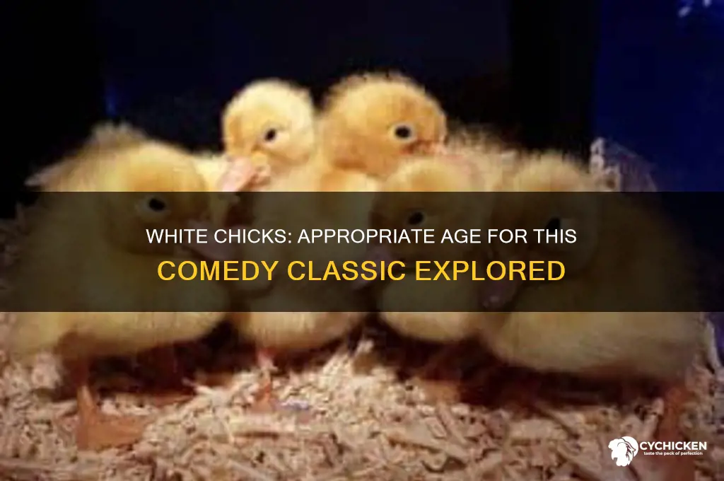 what age is white chicks suitable for
