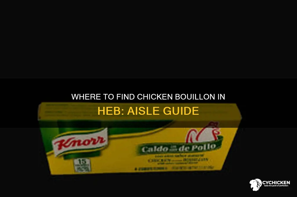 what aisle is chicken bouillon in heb