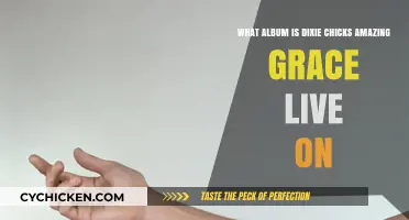 Amazing Grace Live: Dixie Chicks' Album Performance