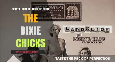 The Dixie Chicks' Landslide: Album Exploration