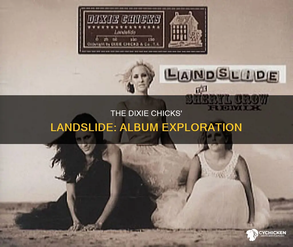 what album is landslide on by the dixie chicks