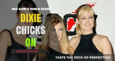 Travelin' Soldier: Which Dixie Chicks Album Features This Hit?