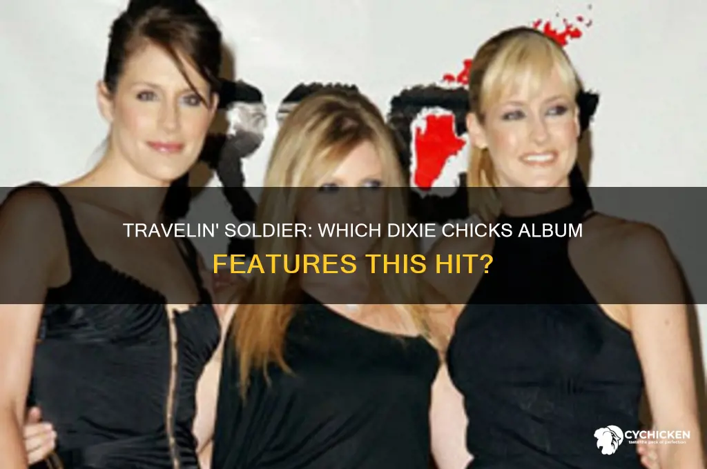 what album is travelin soldier dixie chicks on
