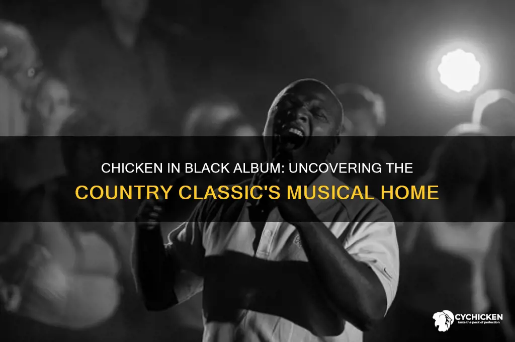 what album was chicken in black on