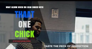 Big Sean's Collaboration with Women in Music