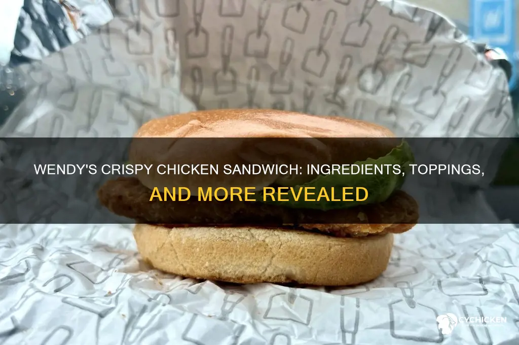 what all comes on a wendy