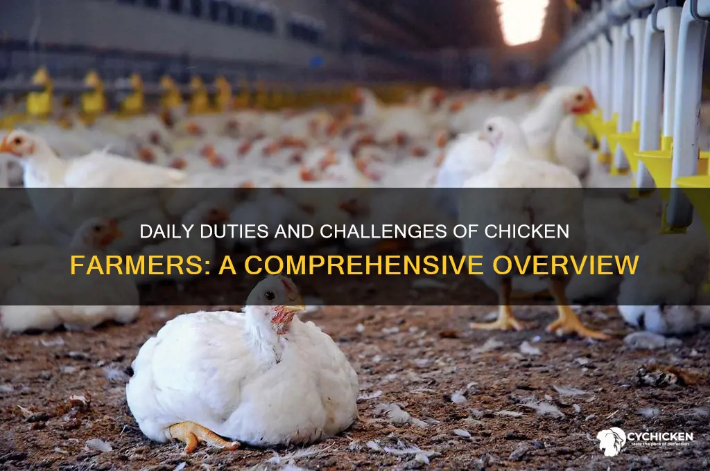 what all do chicken farmers have to do