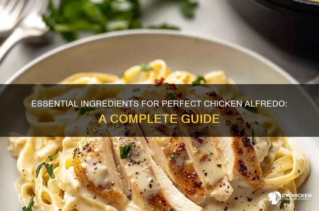what all do i need for chicken alfredo
