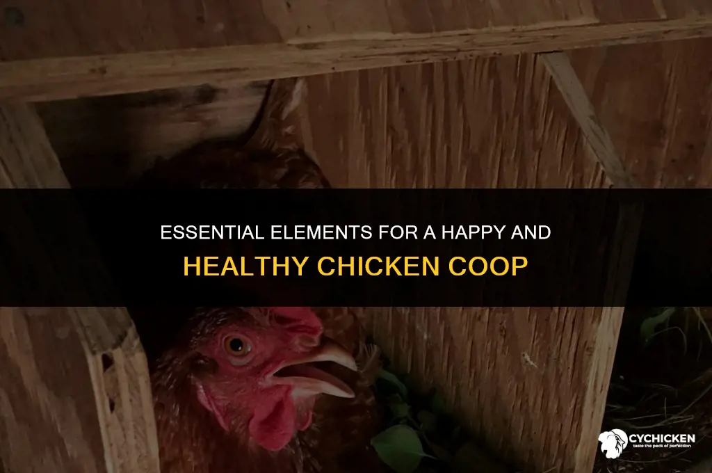 what all do you need for a chicken coop