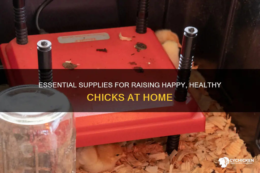 what all do you need for chicks